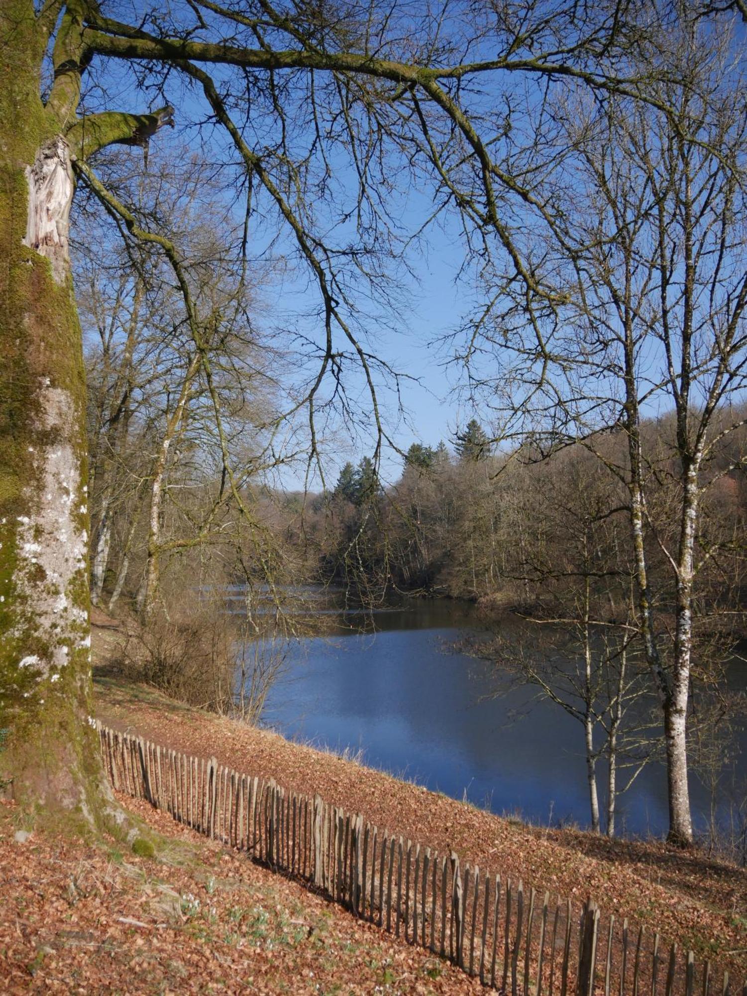 Chateau Du Pont D'Oye Habay-la-Neuve Exteriér fotografie