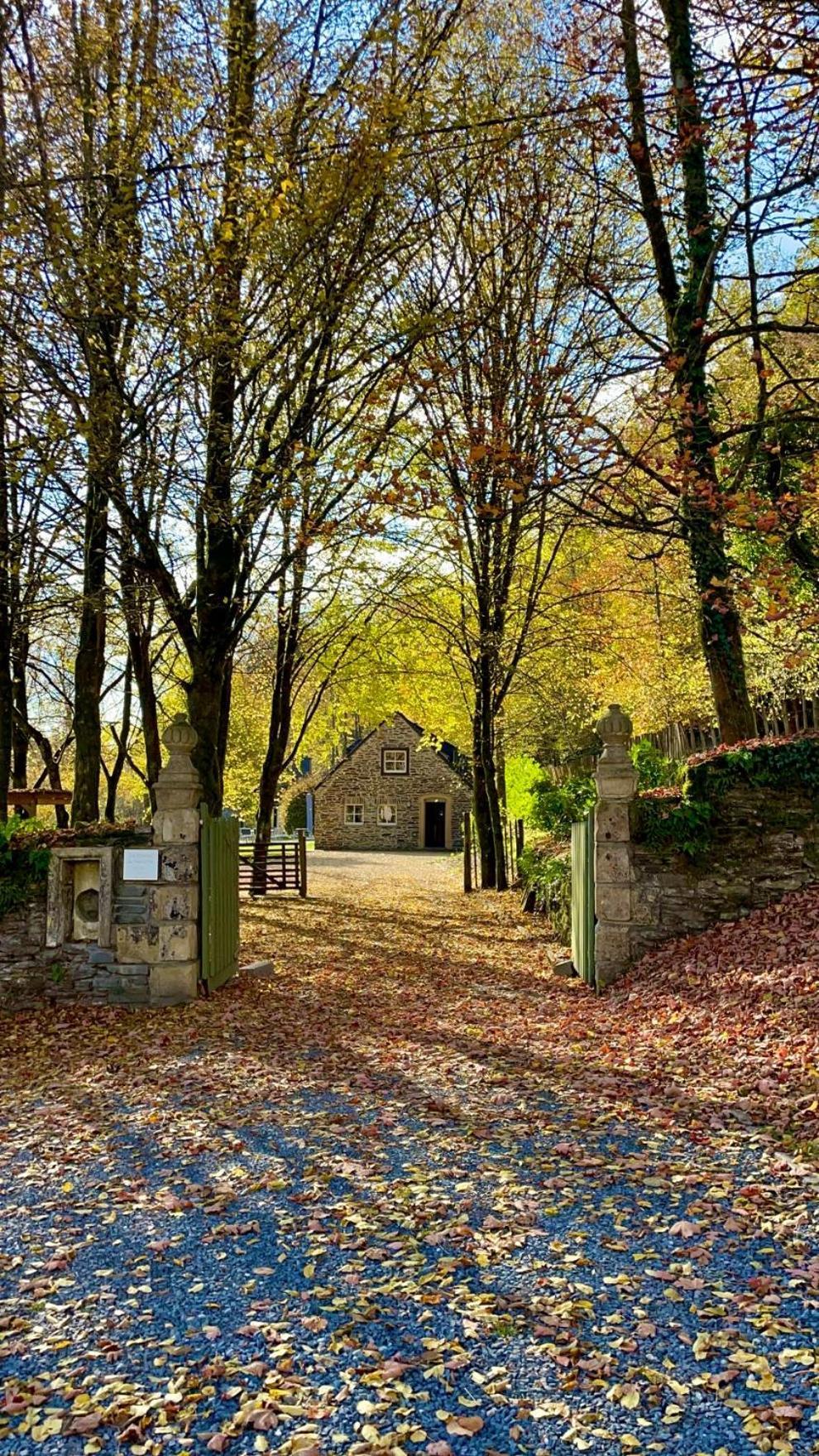 Chateau Du Pont D'Oye Habay-la-Neuve Exteriér fotografie
